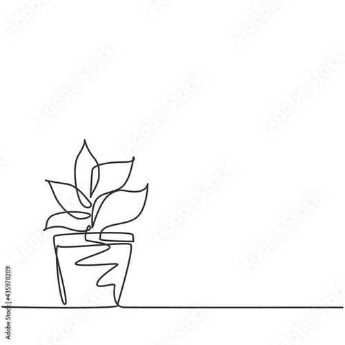 Single continuous line drawing potted plants with five growing leaves are used for ornamental plants. Plant to decorate sink so that it looks green. One line draw graphic design vector illustration.