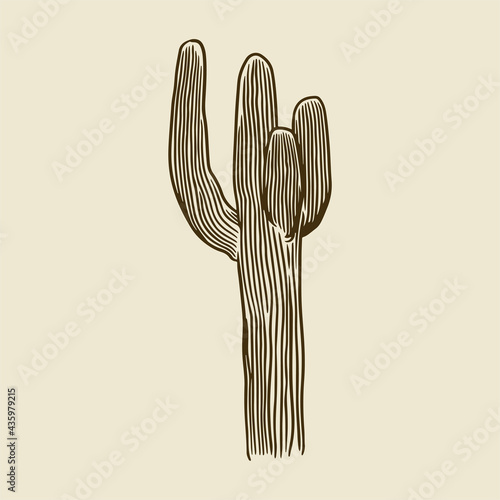 Hand drawn cactus. Exotic nature decorative houseplant concept template designed in retro style. Dessert plants sketchy vintage engraving vector botanical, tropical illustration