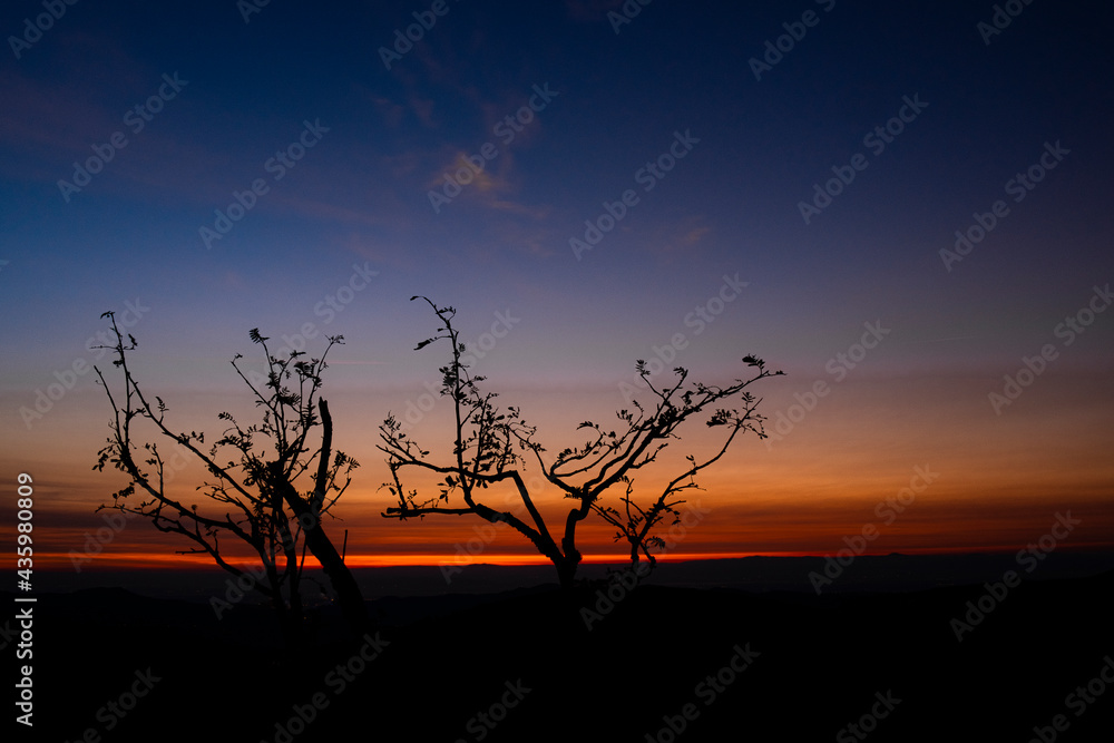 Blue hour sunrise of mountain trees with blue and orange sky and dark valley