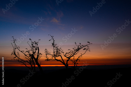Blue hour sunrise of mountain trees with blue and orange sky and dark valley