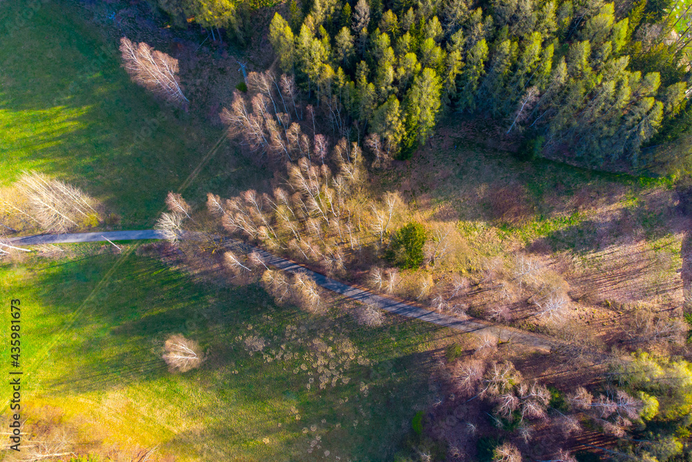 Narrow asphalt road between green meadows and forest. Aerial view from drone.