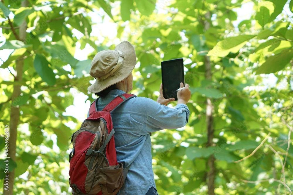 Asian female backpack hiker travel alone in forest , take photos, survey and collect information of botanical plants by using smart tablet. Concept : backpacking tourism, adventure, field research Asian female backpack hiker travel alone in forest , take photos, survey and collect information of botanical plants by using smart tablet. Concept : backpacking tourism, adventure, field research