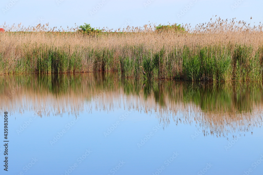The beauty of the lake in spring The beauty of the lake in spring