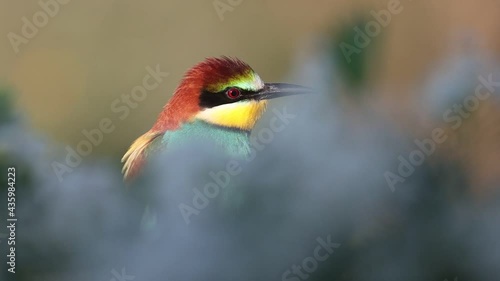 beautiful spring bird sitting among white flowers
