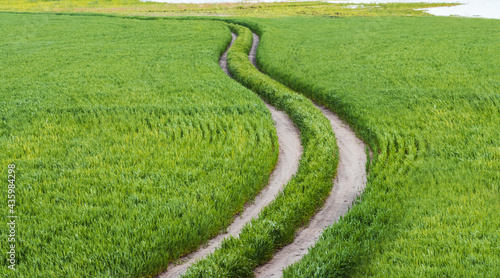 beginning of the way, beautiful road winds through a green field