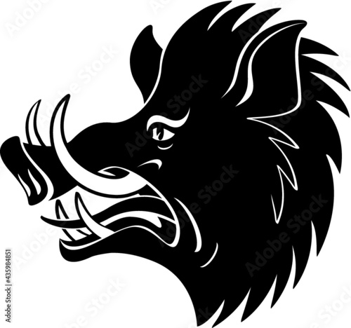 wild boar head