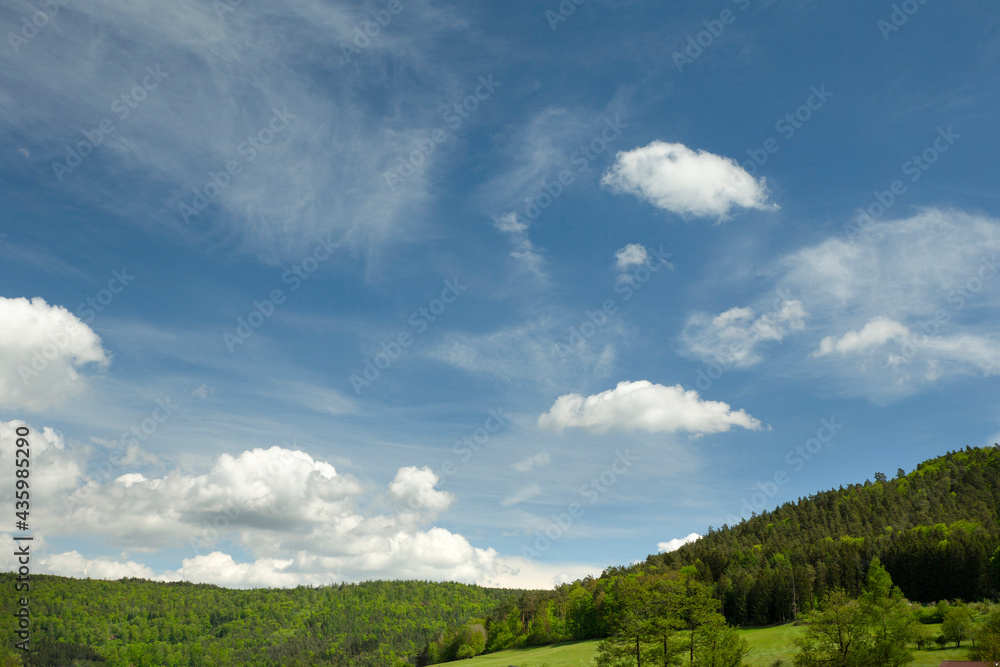 clouds over the forest