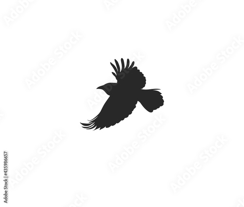 Hand drawn vector abstract stock flat graphic illustration with logo element,mystic tribal magic line silhouette art of flying crow in simple style for branding,isolated on white background
