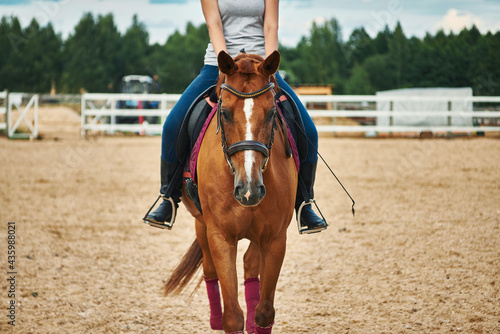 girl rider riding brown horse © Olek