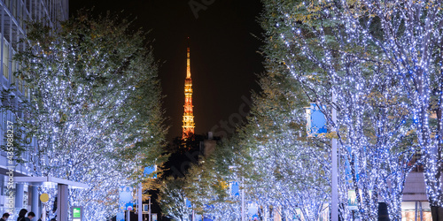 Photography Trees wrapped with Christmas lights and Tokyo Tower during holiday season　ライトアップ