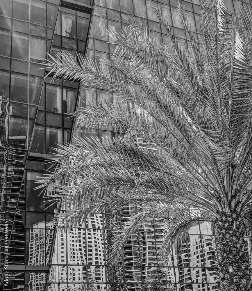 fragment of the architectural landscape in the city of Dubai