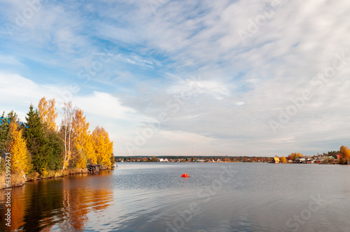 beautiful autumn landscape with yellow trees on the shore of the lake