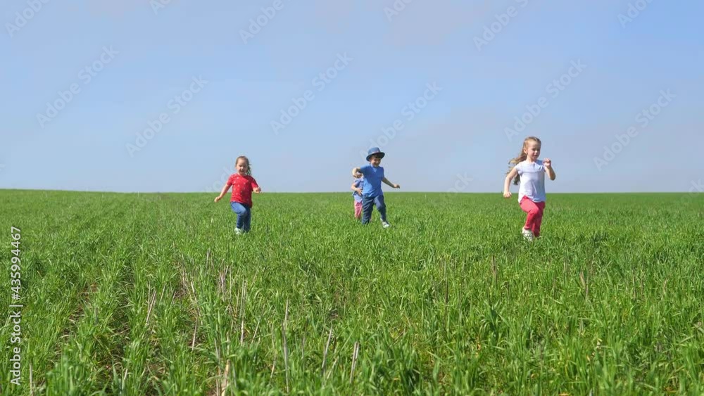 A few children are laughing and running around in an open-air green field. Energetic children have a good time in the park, have fun. A few children are laughing and running around in an open-air green field. Energetic children have a good time in the park, have fun.