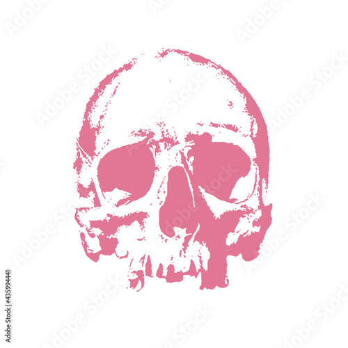 Obraz na płótnie Pink skull vector