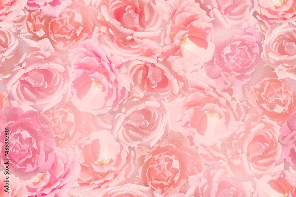 Seamless background of delicate pink roses in the haze. Seamless background of delicate pink roses in the haze.
