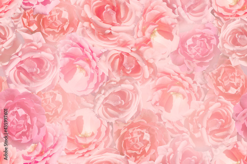 Seamless background of delicate pink roses in the haze.