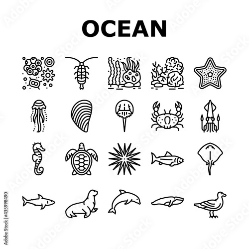 Ocean Underwater Life Collection Icons Set Vector. Ocean Fish And Star, Jellyfish And Turtle, Crab And Skate, Mussels And Phytoplankton Black Contour Illustrations