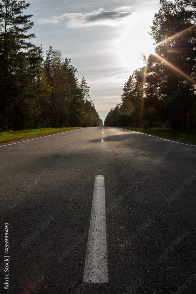 Fototapeta premium Vertical outdoor photography of an empty countryside asphalt road with trees along the both sides and sun, shining over it at daytime