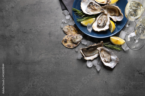 Fresh oysters with lemon, rosemary and ice on grey table, flat lay. Space for text