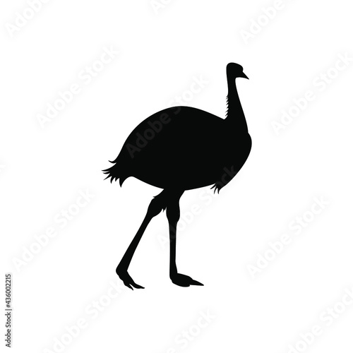 Emu ostrich bird vector silhouette black on white