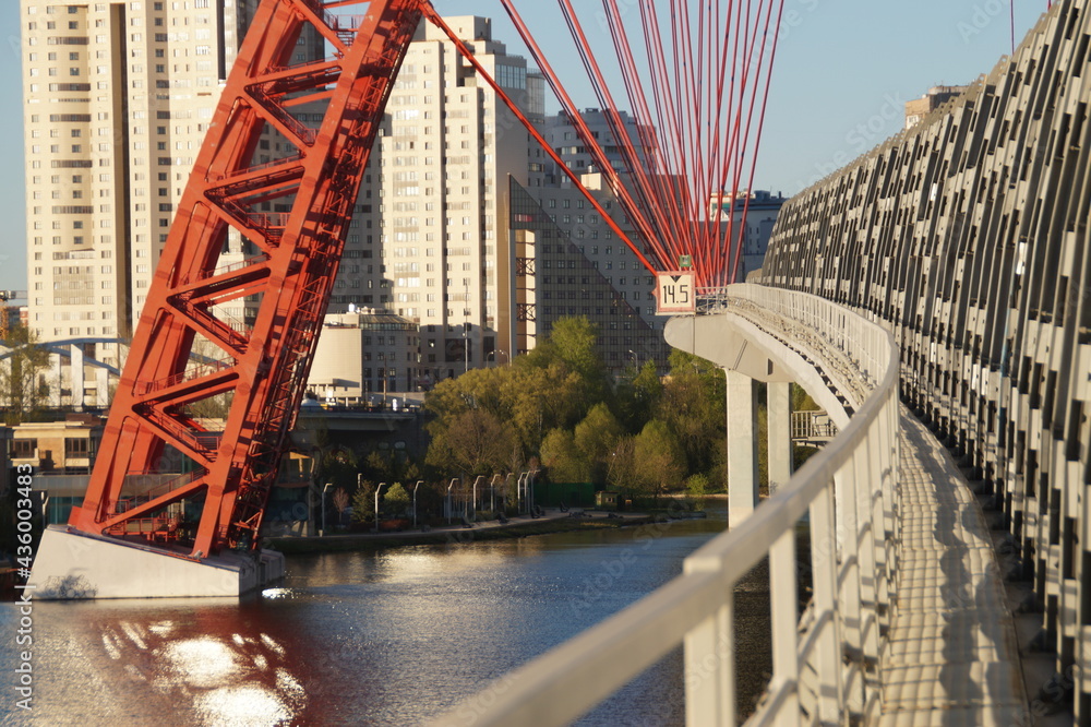 Obraz premium Moscow: scenic bridge
