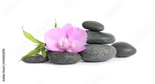 Spa stones, beautiful orchid flower and bamboo sprout on white background