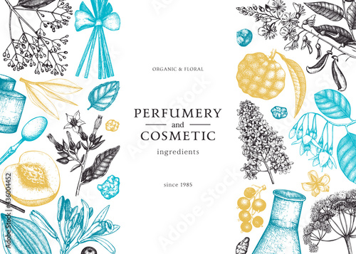 Vector background with fragrant fruits and flowers. Hand sketched perfumery and cosmetics ingredients illustration. Aromatic and medicinal plants banner design. 