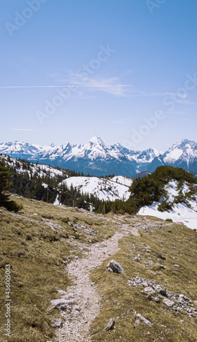 Vertical view to the Bavarian Alps in summer, Berchtesgaden, Germany 