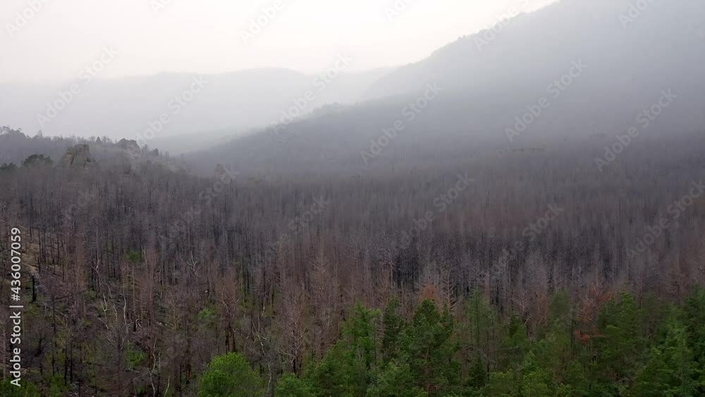 Flying a drone over beautiful forests near Lake Baikal, Siberia Flying a drone over beautiful forests near Lake Baikal, Siberia