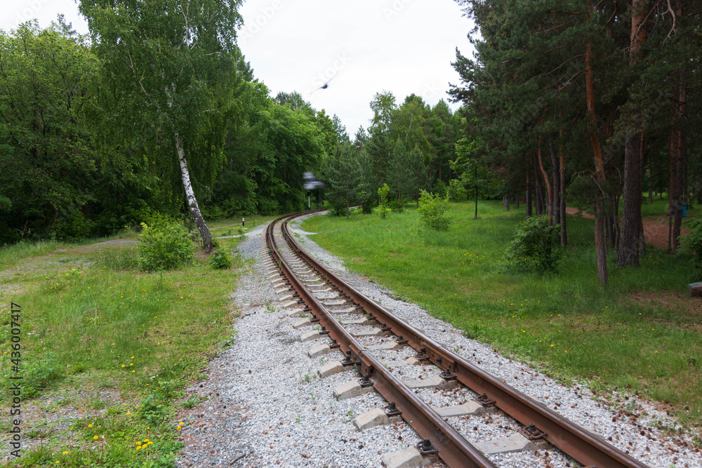 Obraz premium railway track in the forest