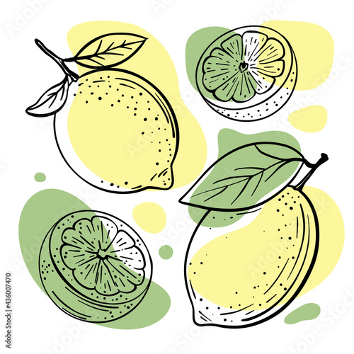 LEMON LIME Abstract Delicious Citrus Fruits With Leaves And Cut In Half For Design Your Store And Restaurant Menu Hand Drawn In Sketch Style Vector Illustration Set