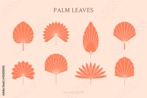 Set of Abstract Palm Leaves Silhouette in Simple Style. Vector Tropical Leaf Boho Emblem. Floral Illustration