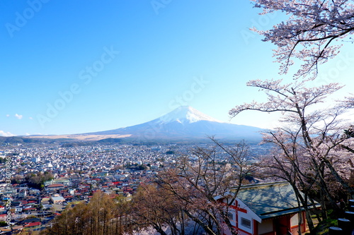 Mount Fuji view during Sakura season