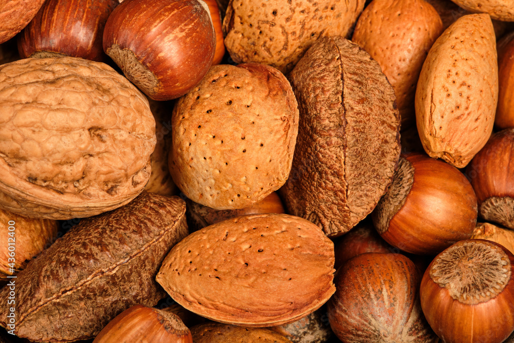 A heap of mixed nuts. Almonds, walnuts and hazelnuts. A heap of mixed nuts. Almonds, walnuts and hazelnuts.