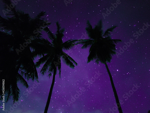 Night shining starry sky  blue space background with star.