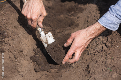 gardener digs holes in the soil with a small garden trowel, close up