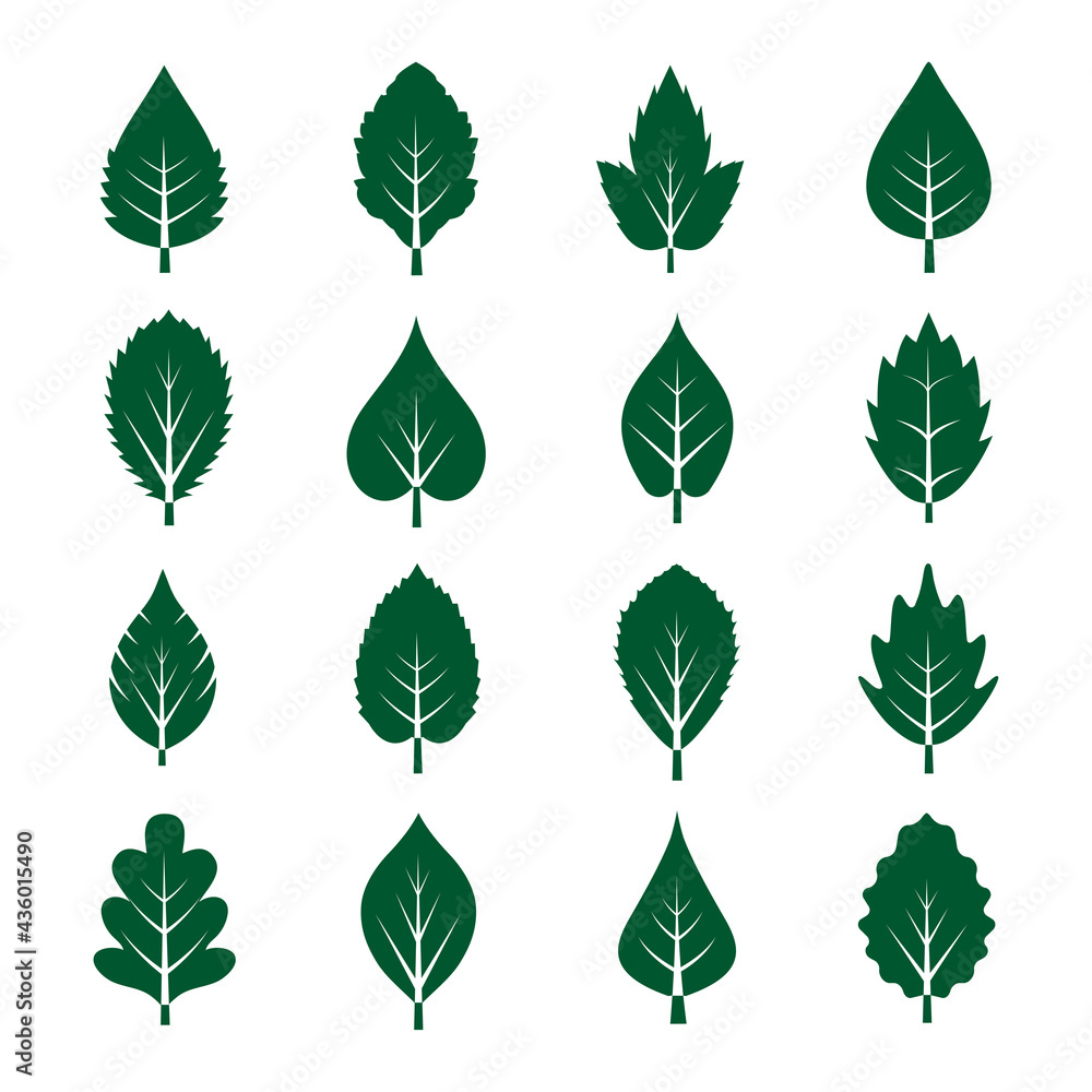 Leaf Symbol Icon Vector Collection Leaf Symbol Icon Vector Collection