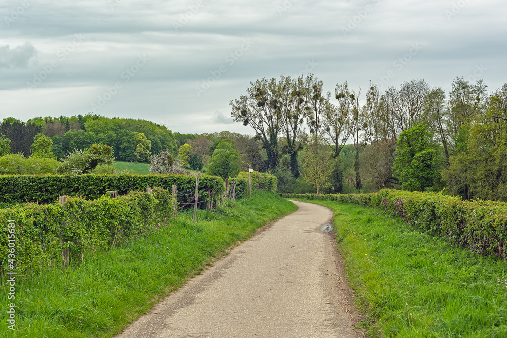 Hiking trail in a sloping landscape with grass, a hedge and green trees under a cloudy sky.