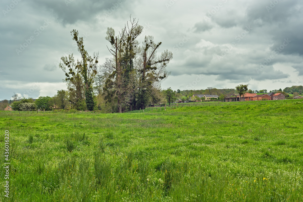 A grove of trees and houses in a sloping green meadow under a gray cloudy sky.