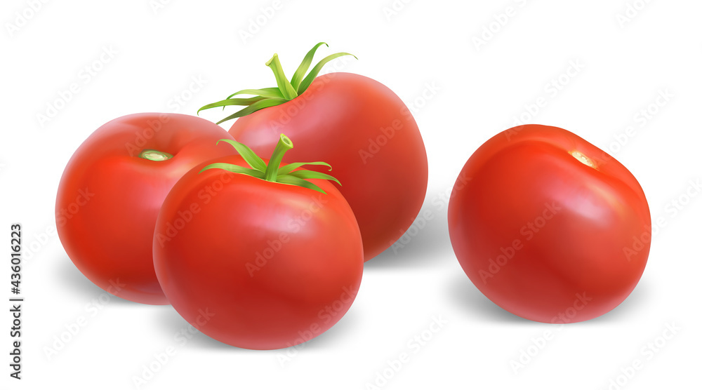 Illustration of a realistic style set of red fresh tomatoes with green stems isolated on white background Illustration of a realistic style set of red fresh tomatoes with green stems isolated on white background