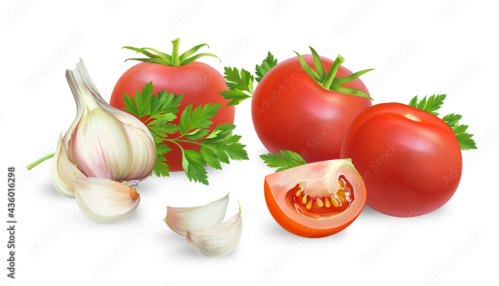 Illustration of a realistic style set of red fresh tomatoes with green stems and garlic isolated on white background