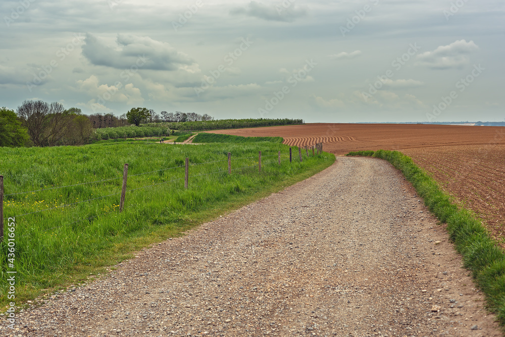 Gravel road between rolling fields under a cloudy sky.