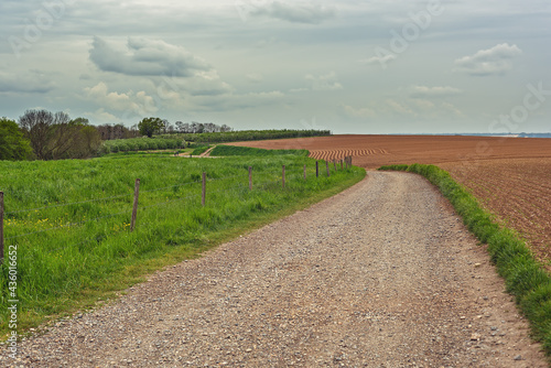 Gravel road between rolling fields under a cloudy sky.