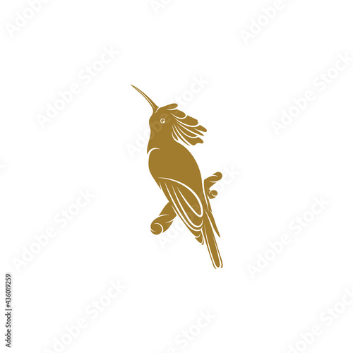 Eurasian Hoopoe bird vector illustration. Eurasian Hoopoe bird logo design concept template. Creative symbol