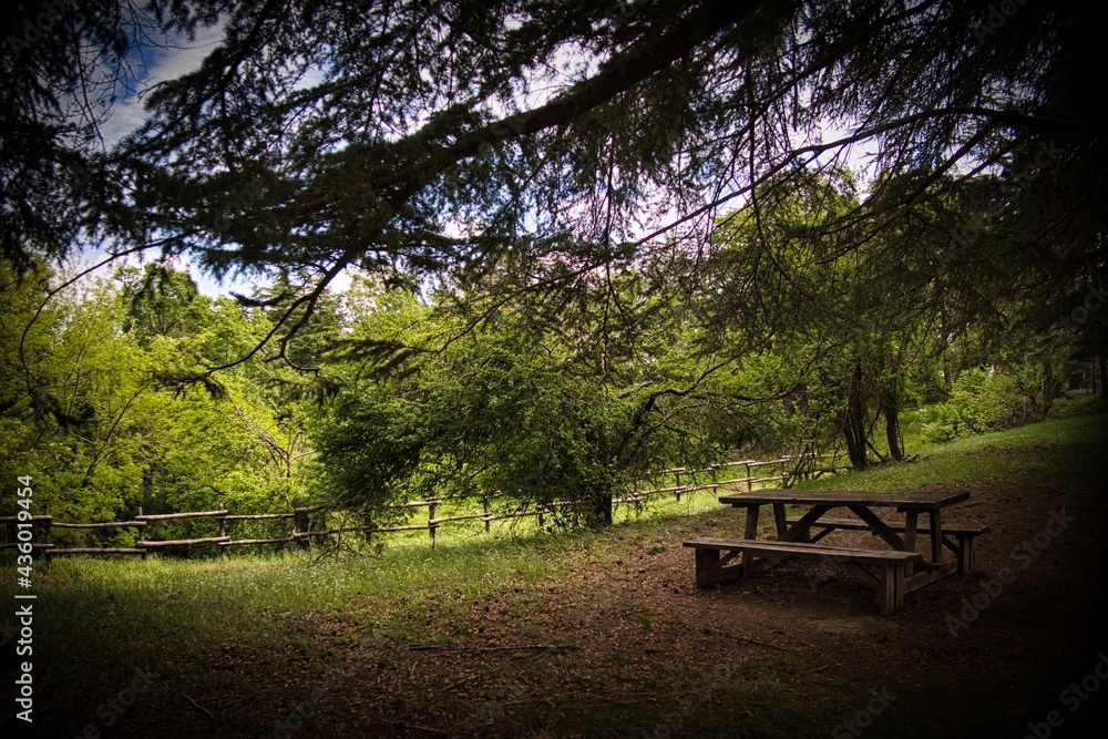 wooden table for picnics in the Italian woods of Liguria, in the shade of huge trees wooden table for picnics in the Italian woods of Liguria, in the shade of huge trees