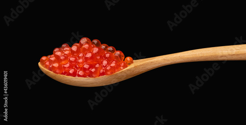 Red exclusive caviar on wooden spoon isolated on dark background