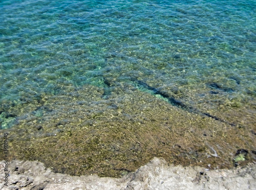 Transparent adriatic sea near the rocky coast. Salty water. Apulia (Puglia). Italy. Europe