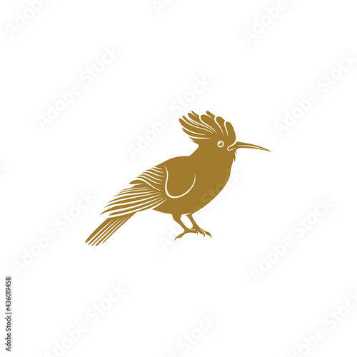 Eurasian Hoopoe bird vector illustration. Eurasian Hoopoe bird logo design concept template. Creative symbol