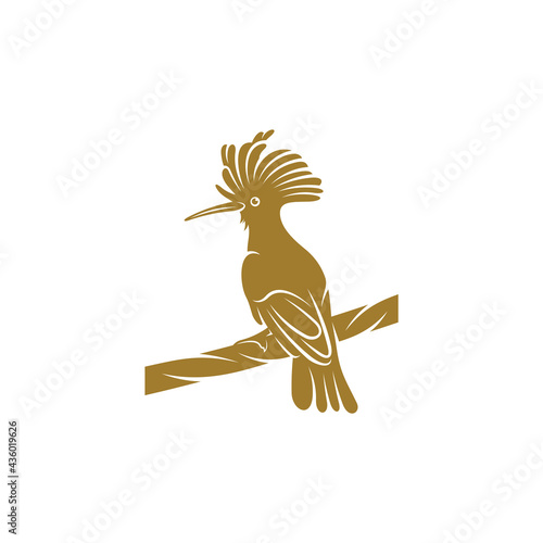 Eurasian Hoopoe bird vector illustration. Eurasian Hoopoe bird logo design concept template. Creative symbol