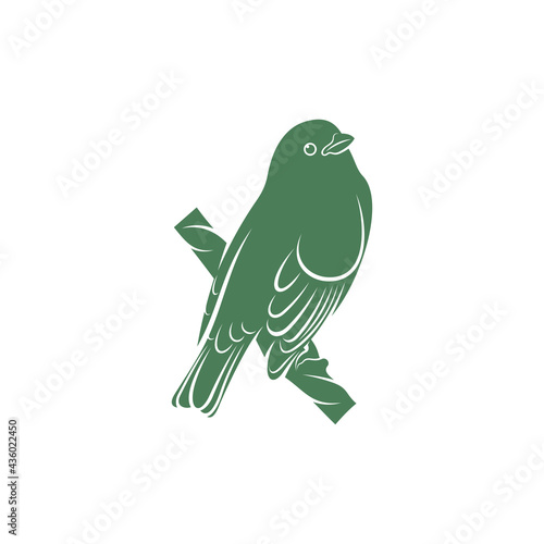 Saira Amarela bird vector illustration. Saira Amarela bird logo design concept template. Creative symbol
